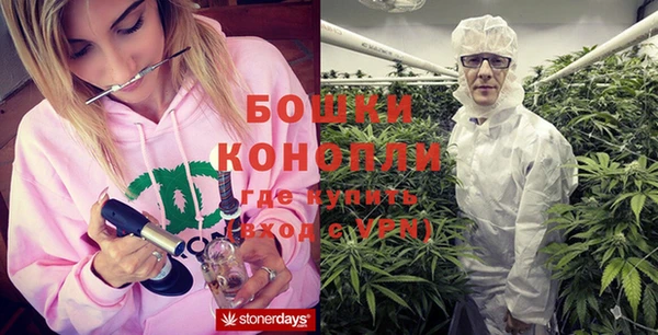 ГАЛЛЮЦИНОГЕННЫЕ ГРИБЫ Арсеньев