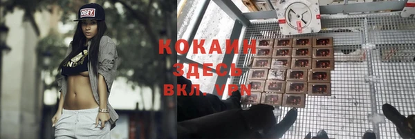 ГАЛЛЮЦИНОГЕННЫЕ ГРИБЫ Арсеньев