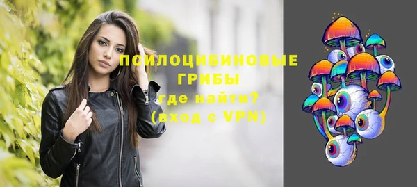 метадон Армянск