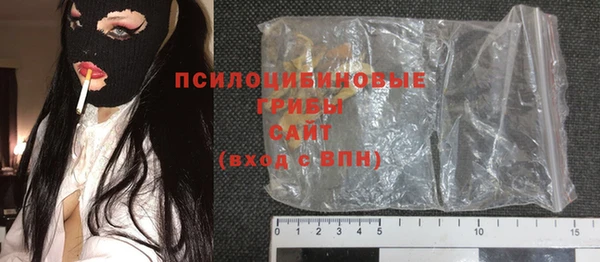 ГАЛЛЮЦИНОГЕННЫЕ ГРИБЫ Арсеньев