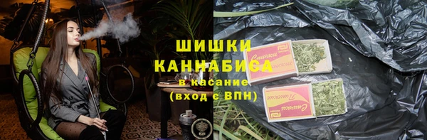 ГАЛЛЮЦИНОГЕННЫЕ ГРИБЫ Арсеньев