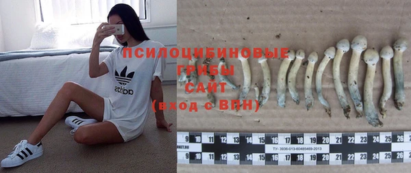 ГАЛЛЮЦИНОГЕННЫЕ ГРИБЫ Арсеньев